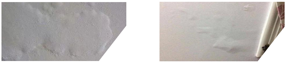 1623912863119649.jpg